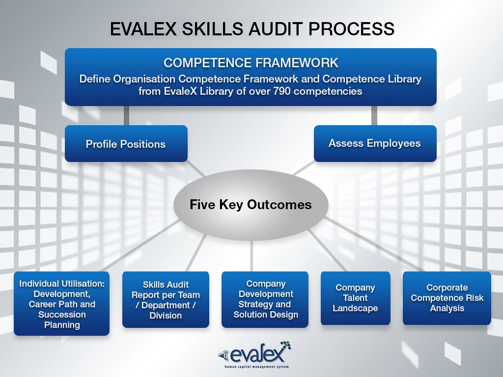 skills-audit